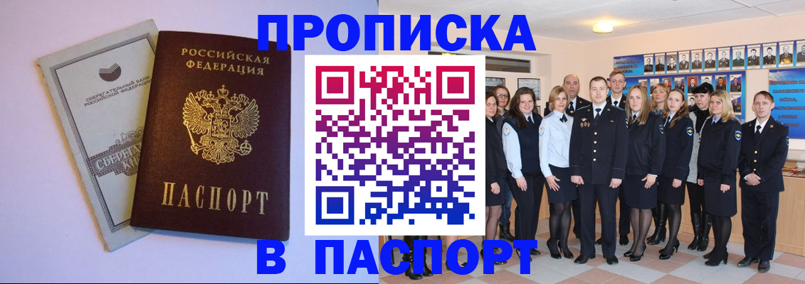прописка поиск в Кингисеппе